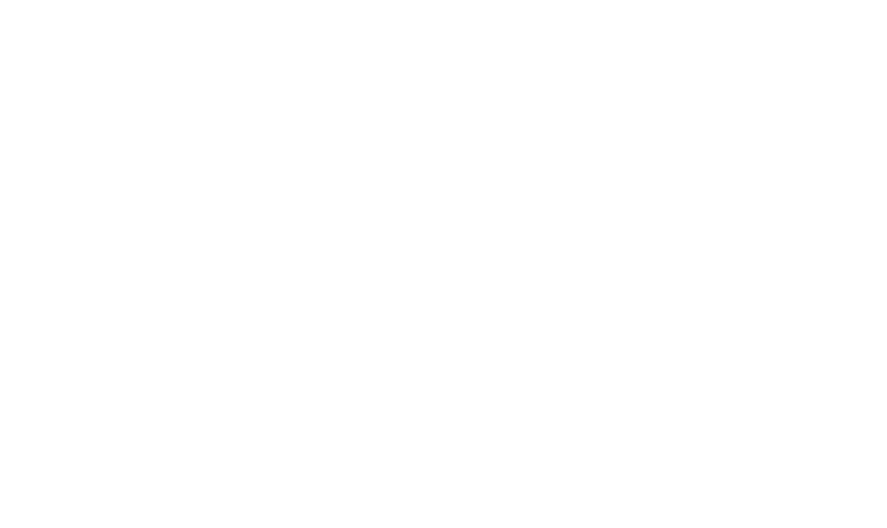 Aizer Logo